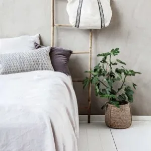 Panier, Plant S House Doctor