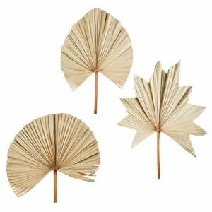 Lot de 3 grandes feuilles de palmier décoration bohème Madam Stoltz