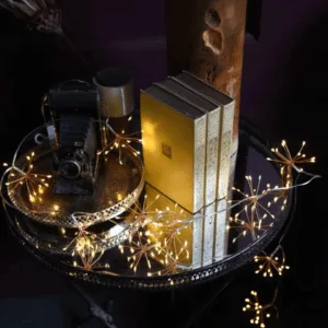 Guirlande lumineuse LED à ornements « Bouquet Lumineux »