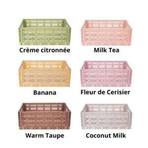Caisse de rangement pliable « Minibox » Aykasa – Petit modèle 6 coloris