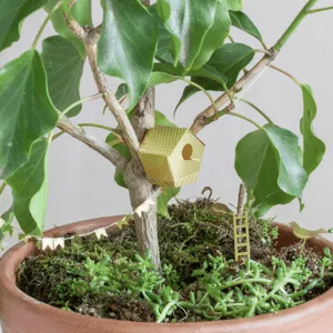 Mini décor pour plante « Nichoir à oiseaux » en laiton doré