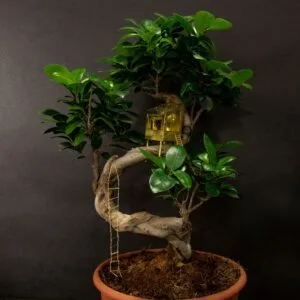 Mini décor « Cabane dans les arbres » pour plante en laiton doré