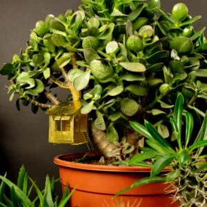 Mini décor « Cabane dans les arbres » pour plante en laiton doré