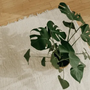 Tapis en coton tissé écru « Jude » – 3 tailles disponibles