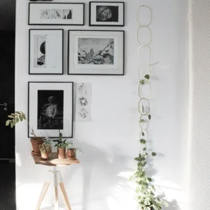 Treille en laiton doré pour plantes grimpantes – Twicy Store