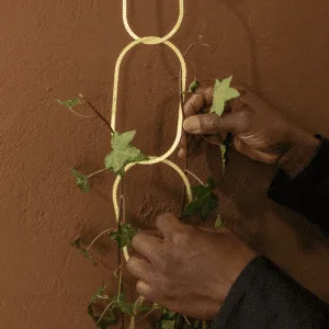 Treille en laiton doré pour plantes grimpantes – Twicy Store