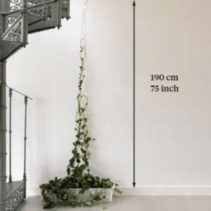 Treille en laiton doré pour plantes grimpantes – Twicy Store