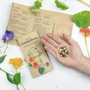 Mélange de graines pour fleurs grimpantes en sachet