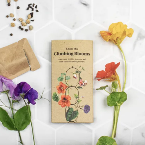 Mélange de graines pour fleurs grimpantes en sachet