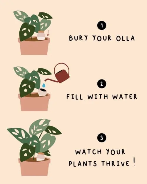 image d'illustration pour Olla Pepin réservoir d'eau en terre cuite pour tous types de plantes (oyas)