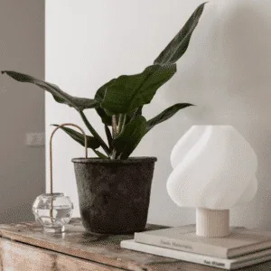 « Plant Straw » paille d&rsquo;auto arrosage pour plantes – doré 2 tailles