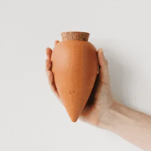 « Olla Pepin » réservoir d&rsquo;eau en terre cuite pour plantes (oyas) – plusieurs coloris