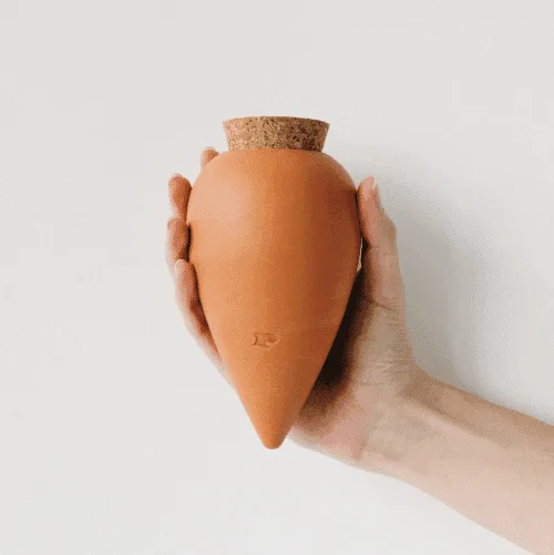 image d'illustration pour Olla Pepin réservoir d'eau en terre cuite pour tous types de plantes (oyas)
