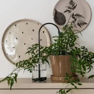 « Plant Straw » paille d&rsquo;auto arrosage pour plante – brun 2 tailles