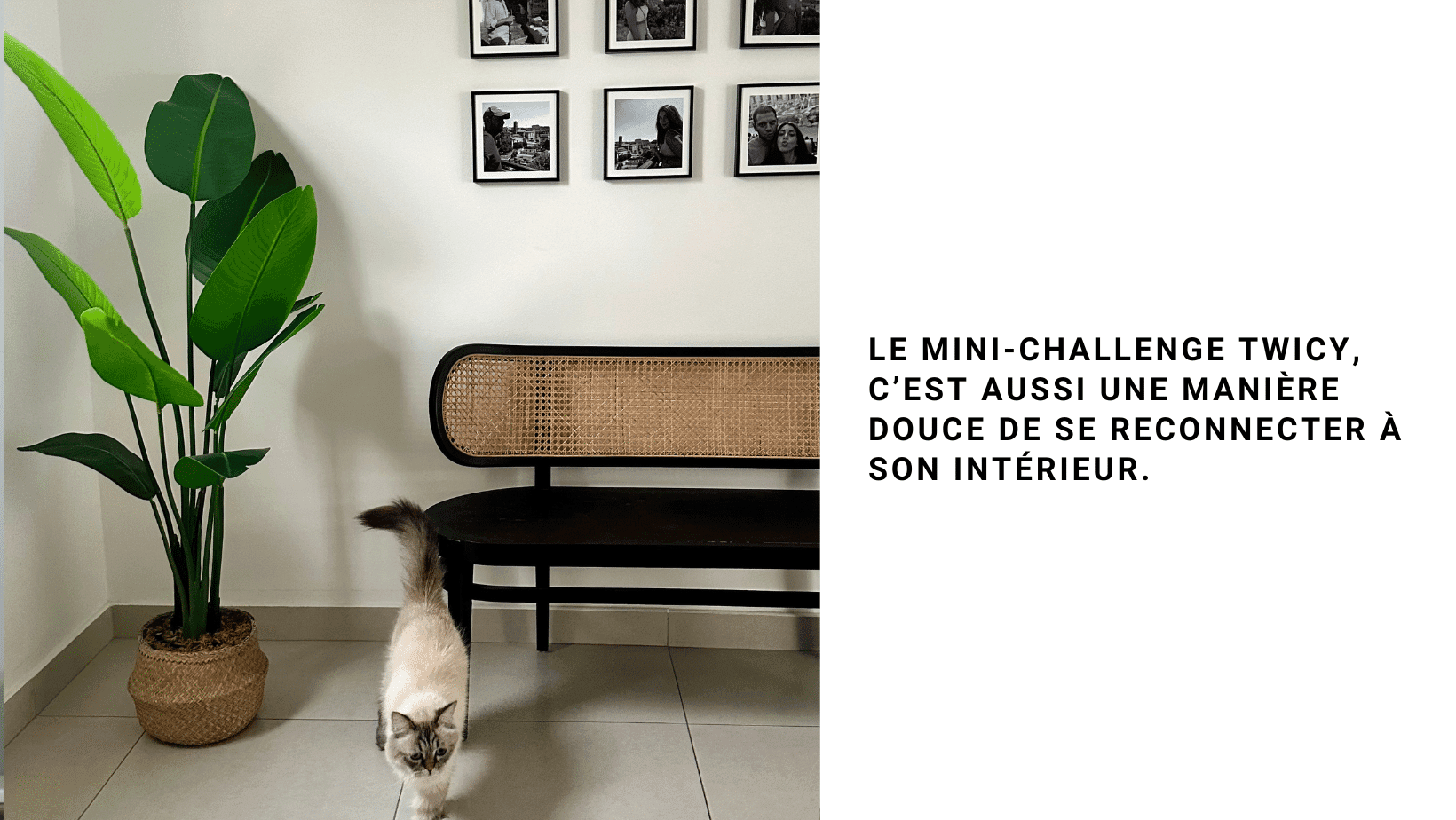 Le mini-challenge qui réveille la maison (et l’humeur) en 7 jours