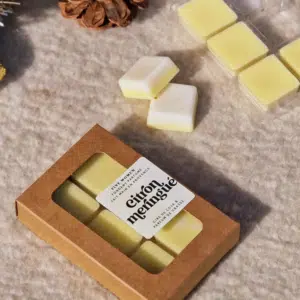 Fondants de Cire Parfumée Citron Meringué – Twicy Store