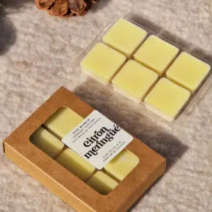 Fondants de Cire Parfumée Citron Meringué – Twicy Store