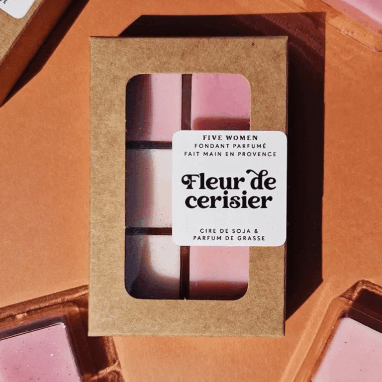 SCENTORINI Fondants De Cire Parfumée 100% Soja - Lot 4 Cubes Noël : Pomme Cannelle, Cèdre, Pain D'Épices, Gâteau Vanille
