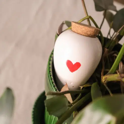 Olla Pépin blanche avec un coeur rouge et un couvercle en liège dans une plante verte
