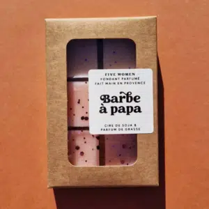 Fondants de Cire Parfumée Barbe à Papa – Twicy Store