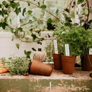 Petit pot en terre cuite style artisanal et charme naturel – Twicy Store