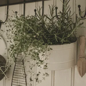 Pot en métal, jardinière en métal blanc « Olle » 2 tailles – Twicy Store