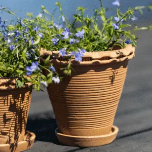 Grand pot en terre cuite avec soucoupe « Alvaro » – Twicy Store