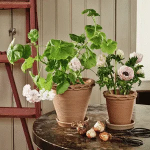 Grand pot en terre cuite avec soucoupe « Alvaro » – Twicy Store
