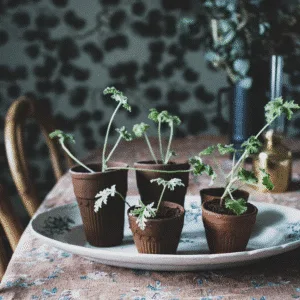 Petit pot en terre cuite style artisanal et charme naturel – Twicy Store
