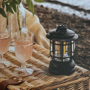 Lanterne LED nomade « Axel » 2 coloris – Twicy Store