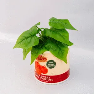 Vase en céramique « Conserve de tomates » | Twicy Store