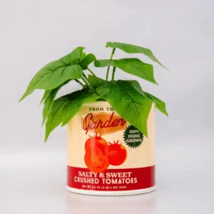 Vase en céramique « Conserve de tomates » | Twicy Store