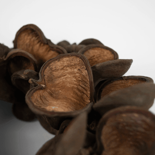 Couronne murale décorative "Amandes" - 38 cm | Twicy Store