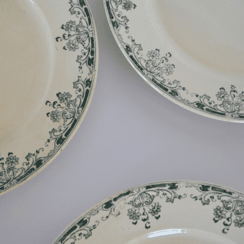 Lot de 6 assiettes plates vintage Sarreguemines modèle “Mignon” | Twicy Store