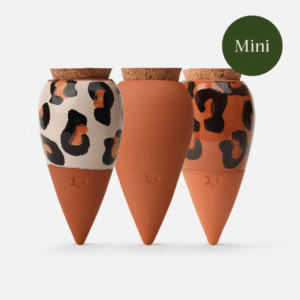 Coffret de 3 mini ollas en terre cuite – Arrosage autonome pour plantes d’intérieur | Twicy Store