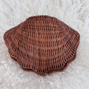 Coquillage vintage en rotin années 70, Boîte décorative | Twicy Store
